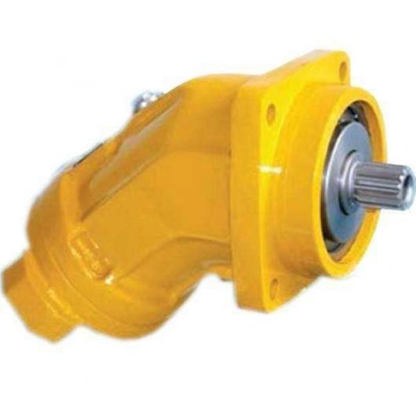  0513300230	0513R18C3VPV16SM21ZAZB009.01,417.0 imported with original packaging Original Rexroth VPV series Gear Pump #1 image